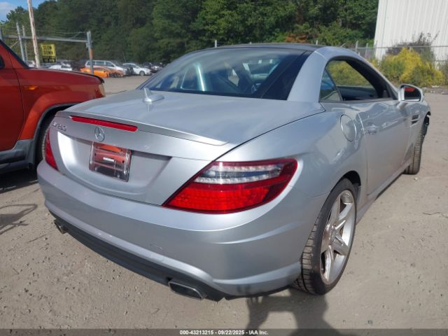 2014 MERCEDES-BENZ SLK 250 WDDPK4HA8EF084317 Photo 3