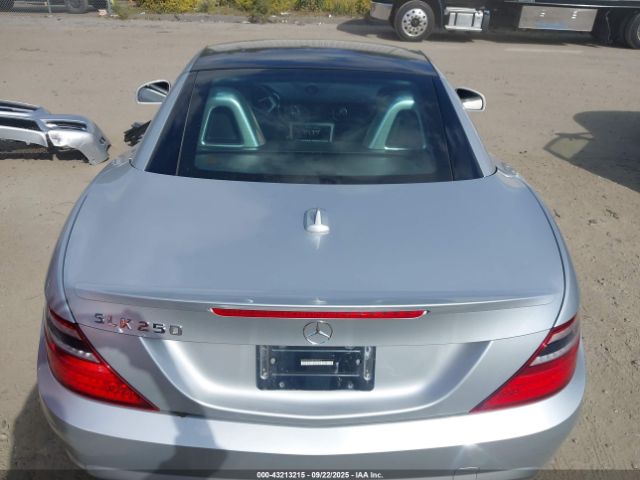 2014 MERCEDES-BENZ SLK 250 WDDPK4HA8EF084317 Photo 7