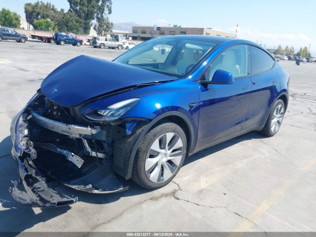 2023 TESLA MODEL Y 7SAYGDEE7PA156123 Photo 1