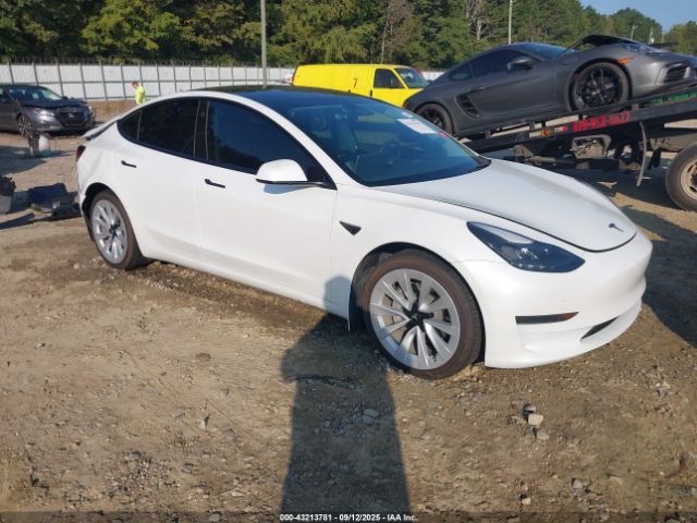 2023 TESLA MODEL 3 5YJ3E1EAXPF546841 Photo 0