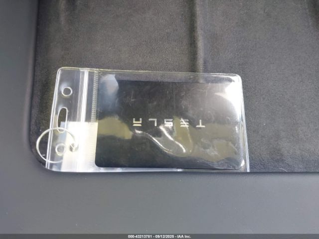 2023 TESLA MODEL 3 5YJ3E1EAXPF546841 Photo 10