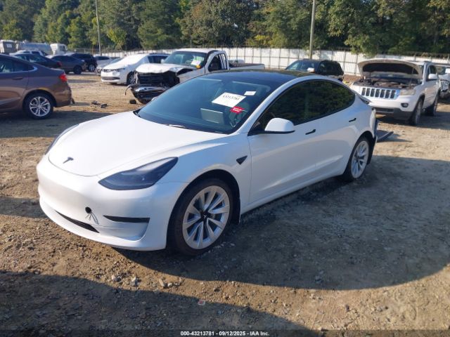 2023 TESLA MODEL 3 5YJ3E1EAXPF546841 Photo 1