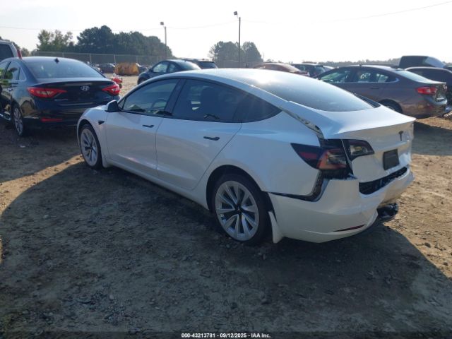2023 TESLA MODEL 3 5YJ3E1EAXPF546841 Photo 2