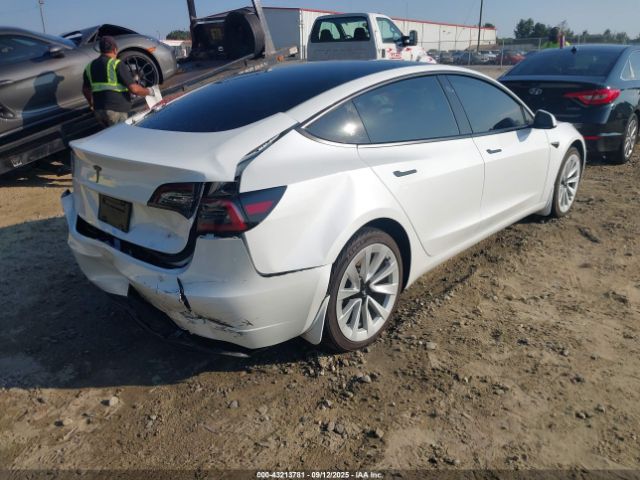 2023 TESLA MODEL 3 5YJ3E1EAXPF546841 Photo 3