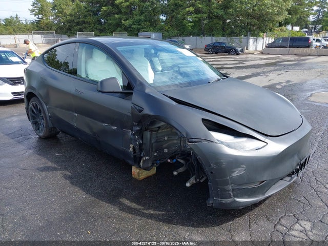 2021 TESLA MODEL Y 5YJYGDEE6MF151538 Photo 0