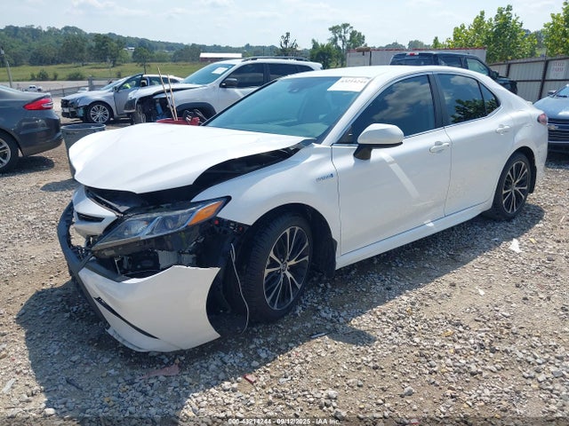2019 TOYOTA CAMRY HYBRID 4T1B21HK4KU516660 Photo 1