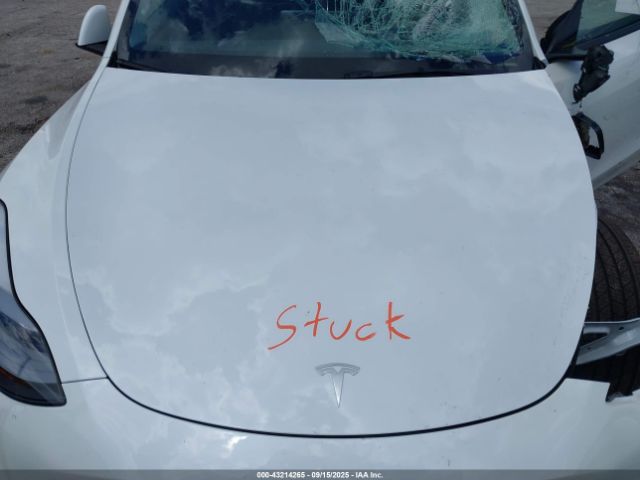 2025 TESLA MODEL Y 7SAYGDED6SA373016 Photo 9