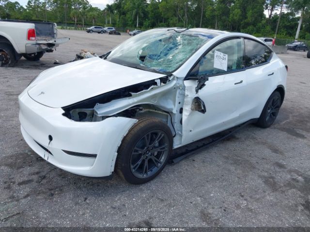 2025 TESLA MODEL Y 7SAYGDED6SA373016 Photo 1