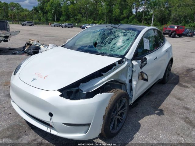 2025 TESLA MODEL Y 7SAYGDED6SA373016 Photo 5