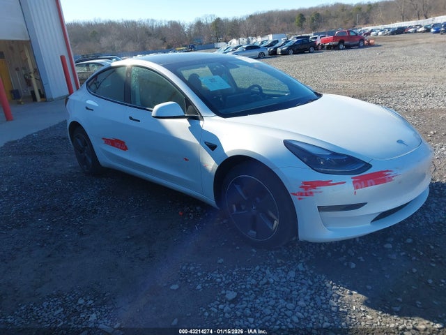 2023 TESLA MODEL 3 5YJ3E1EA7PF555206 Photo 0