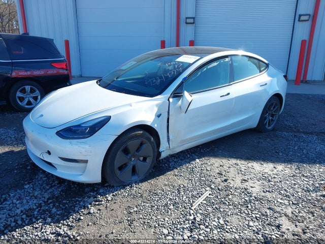 2023 TESLA MODEL 3 5YJ3E1EA7PF555206 Photo 1