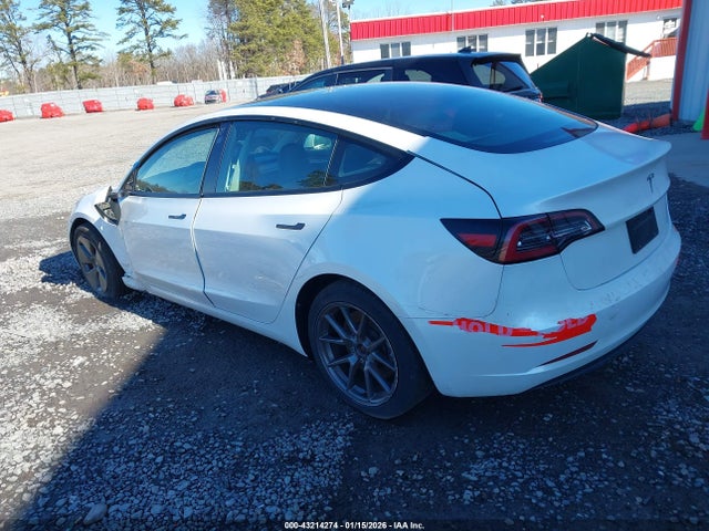 2023 TESLA MODEL 3 5YJ3E1EA7PF555206 Photo 2