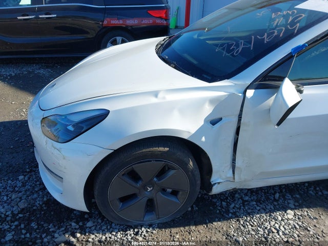 2023 TESLA MODEL 3 5YJ3E1EA7PF555206 Photo 5