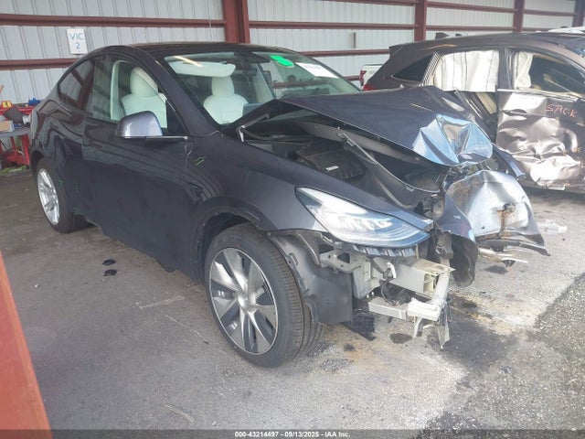 2021 TESLA MODEL Y 5YJYGDEEXMF301828 Photo 0