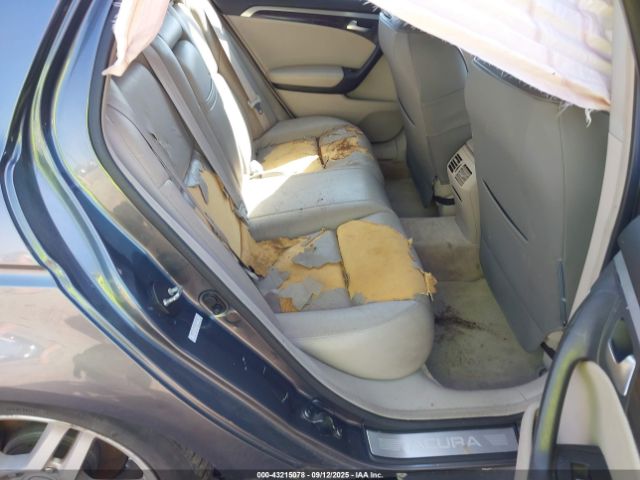 2008 ACURA TL 19UUA66278A042909 Photo 7