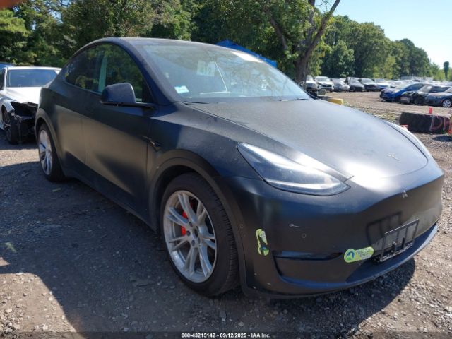 2022 TESLA MODEL Y 7SAYGDEF3NF465502 Photo 0