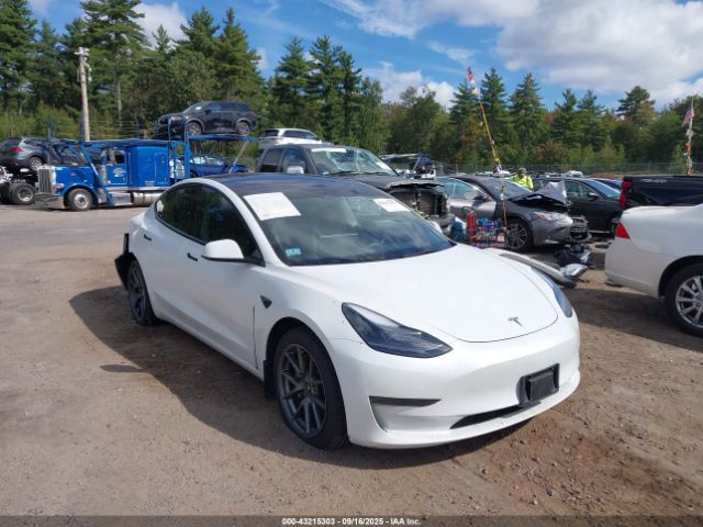 2023 TESLA MODEL 3 5YJ3E1EA7PF510850 Photo 0