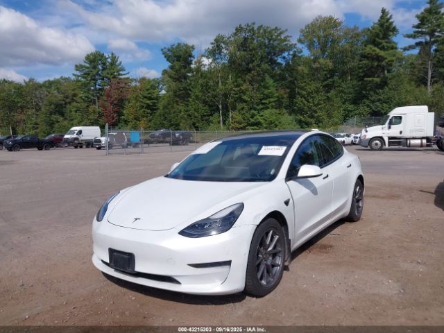 2023 TESLA MODEL 3 5YJ3E1EA7PF510850 Photo 1