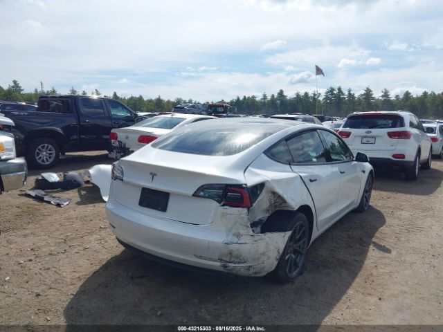 2023 TESLA MODEL 3 5YJ3E1EA7PF510850 Photo 3