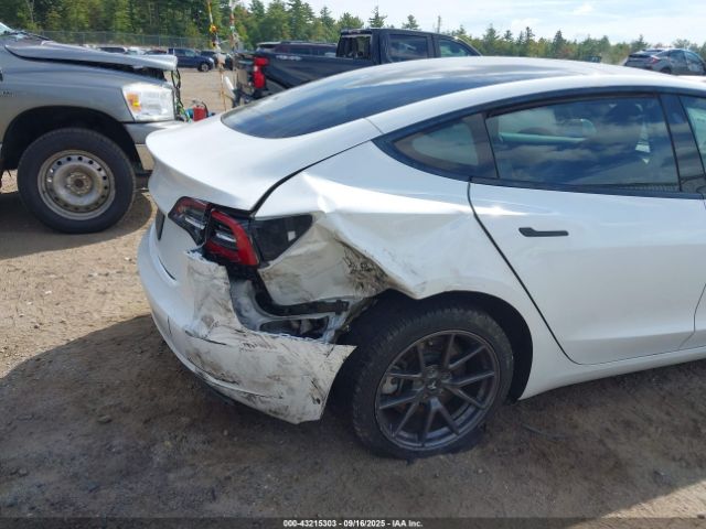 2023 TESLA MODEL 3 5YJ3E1EA7PF510850 Photo 5