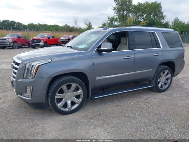 2019 CADILLAC ESCALADE 1GYS4CKJ9KR182956 Photo 1