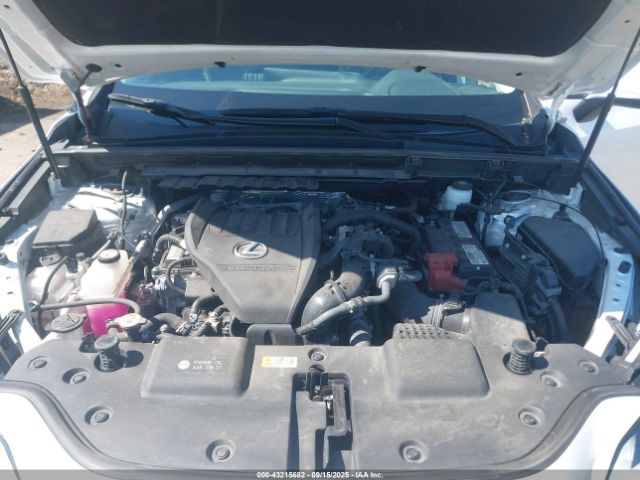 2023 LEXUS NX 350 2T2GGCEZ2PC026078 Photo 9