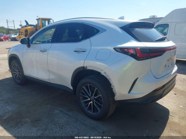 2023 LEXUS NX 350 2T2GGCEZ2PC026078 Photo 2