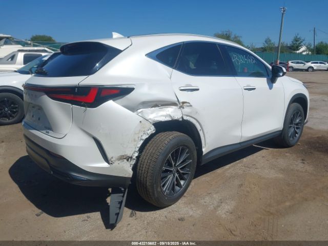 2023 LEXUS NX 350 2T2GGCEZ2PC026078 Photo 3