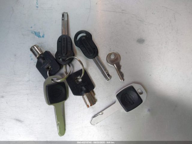 2023 HARLEY-DAVIDSON FXLRST 1HD1YXZ21PB069416 Photo 10