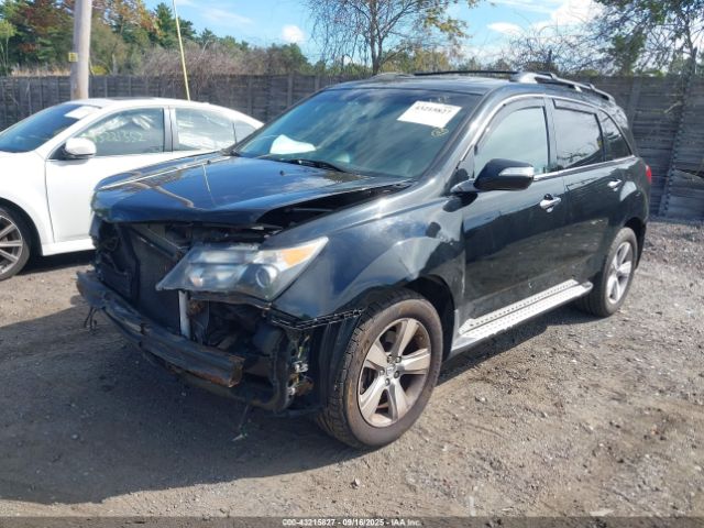2010 ACURA MDX 2HNYD2H67AH530467 Photo 1