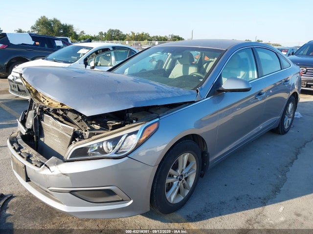 5NPE24AF8HH439262 Hyundai Sonata