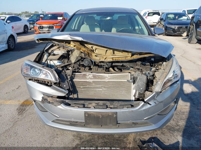 5NPE24AF8HH439262 Hyundai Sonata