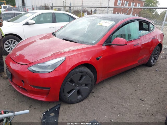2023 TESLA MODEL 3 5YJ3E1EA6PF455971 Photo 1