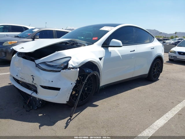 2021 TESLA MODEL Y 5YJYGDEE7MF138166 Photo 1