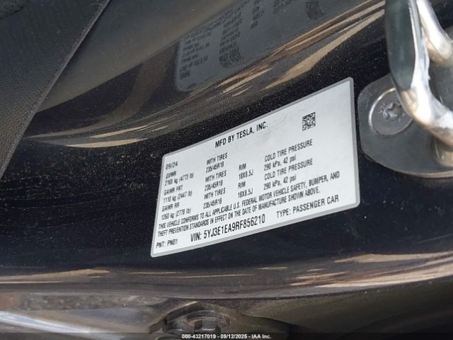 2024 TESLA MODEL 3 5YJ3E1EA9RF856210 Photo 8