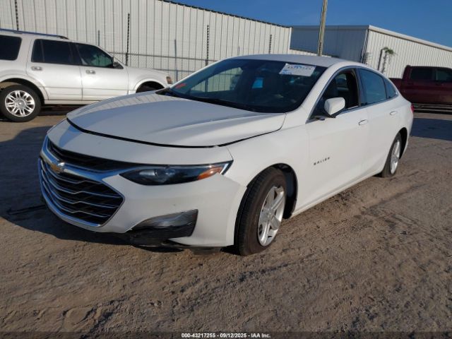 2020 CHEVROLET MALIBU 1G1ZC5ST9LF135717 Photo 1