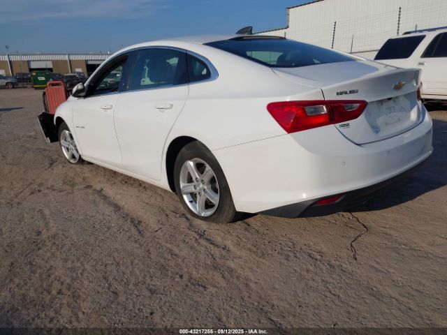 2020 CHEVROLET MALIBU 1G1ZC5ST9LF135717 Photo 2
