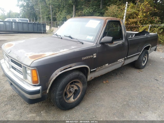 1989 DODGE DAKOTA 1B7GL26X9KS046486 Photo 1