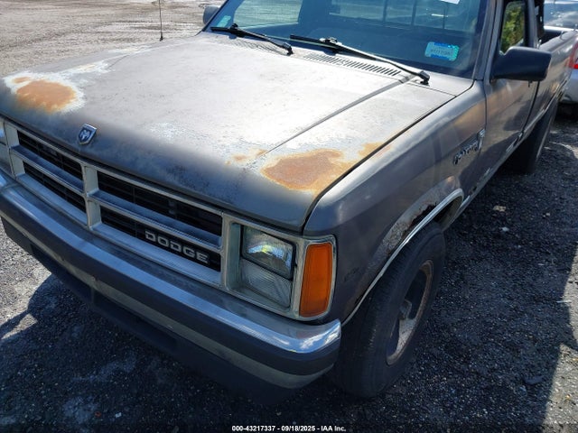 1989 DODGE DAKOTA 1B7GL26X9KS046486 Photo 5