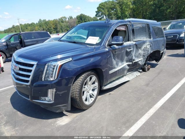 2017 CADILLAC ESCALADE 1GYS4BKJ6HR160092 Photo 1