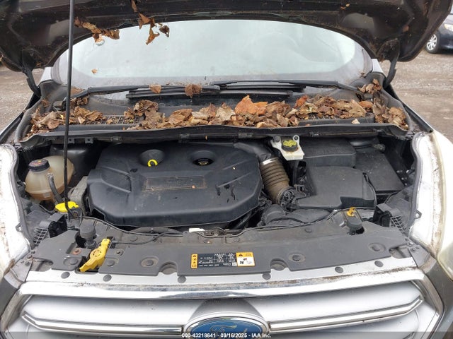 1FMCU0G99HUA95454 Ford Escape