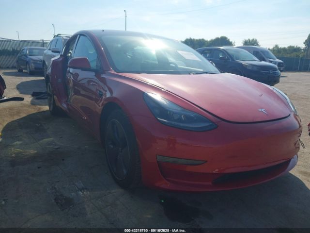 2023 TESLA MODEL 3 5YJ3E1EA8PF654746 Photo 0