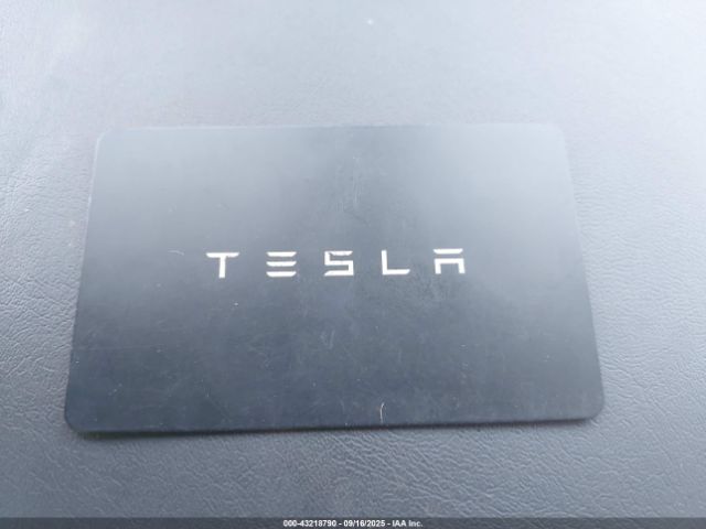 2023 TESLA MODEL 3 5YJ3E1EA8PF654746 Photo 10