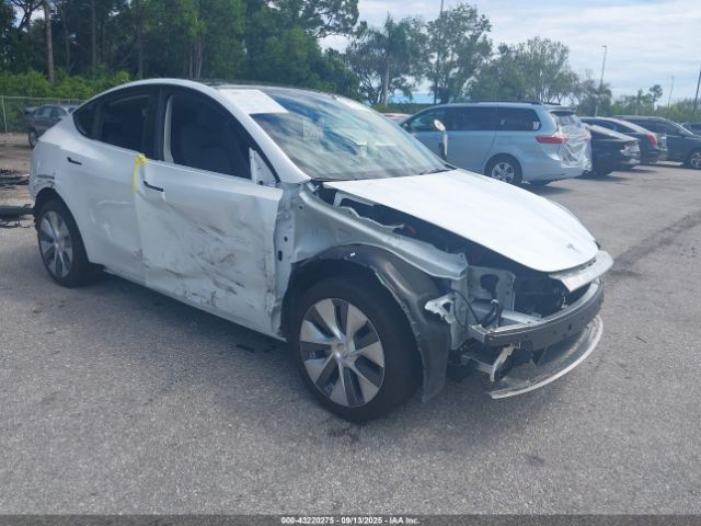 2024 TESLA MODEL Y 7SAYGDEE1RA269794 Photo 0