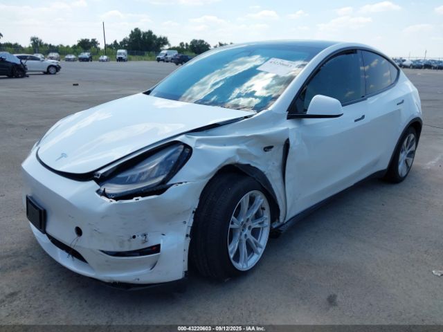 2021 TESLA MODEL Y 5YJYGAEE7MF179038 Photo 1