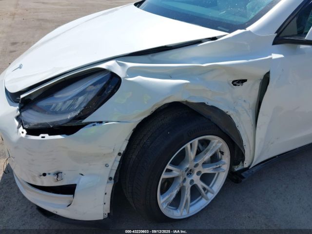 2021 TESLA MODEL Y 5YJYGAEE7MF179038 Photo 5