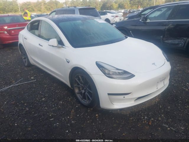 2020 TESLA MODEL 3 5YJ3E1EBXLF790752