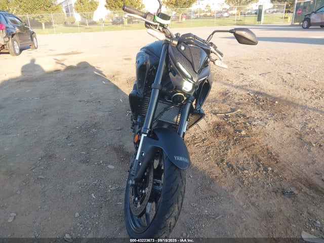 MH3RH20Y5PK009956 Yamaha Mtn320 (mt-03)