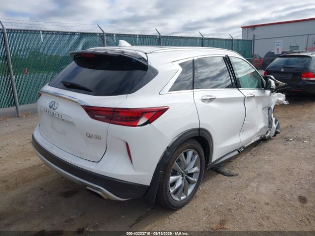 2022 INFINITI QX50 3PCAJ5BB2NF106567 Photo 3