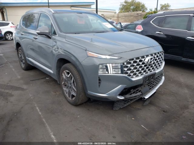 2023 HYUNDAI SANTA FE HYBRID 5NMS3DA10PH012836